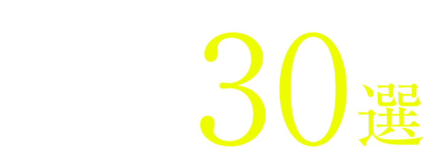 期間限定公開良質BESTPLAN30選